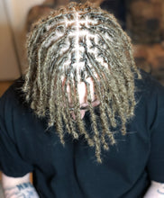 Charger l'image dans la galerie, Début Dreads